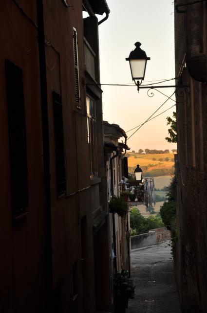 min 2010 08 01 ostra 100